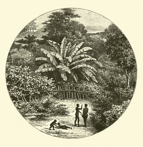 West Africa by English School