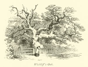Wickliffs Oak by English School