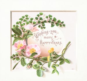 Wild Roses