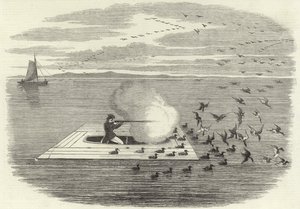 Wild Duck Shooting on the Potomac by English School