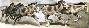 Wildlife in Danger: The Wild Ass