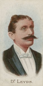 Willem Johannes Leyds by English School