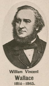 William Vincent Wallace by English School