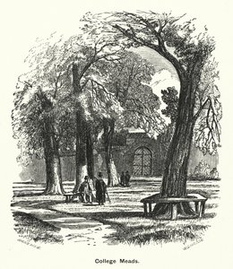 Winchester College: College Meads by English School