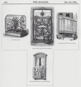Window Gardening (engraving) by English School