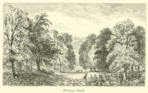 Windsor Park by English School