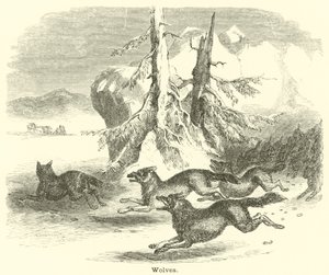 Wolves