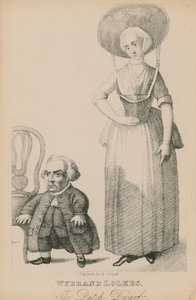 Wyband Lolkes, the Dutch Dwarf by English School