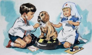 Young Vets