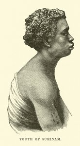 Youth of Surinam by English School