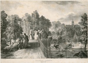 Zoological Gardens, Regents Park by English School