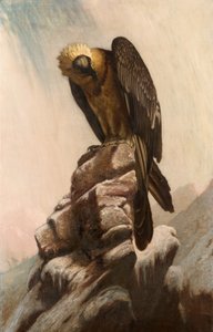 Eagle on Cliff by English School English School