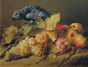 Still Life with Parrot and Grapes by Erasmus von Engert