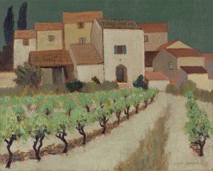 Vineyard, Provence