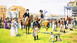 A day at the races