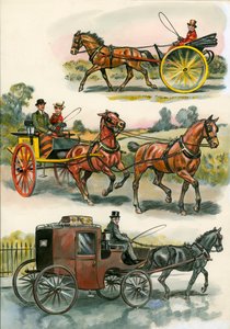 Horses