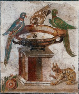 Birds Drinking from a Bird-Bath