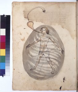 Diver, c.1430