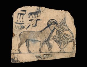 Ostracon with Drawing of a Ram by Erich Lessing