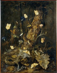 Serpents and Butterflies