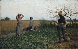 In the potato field