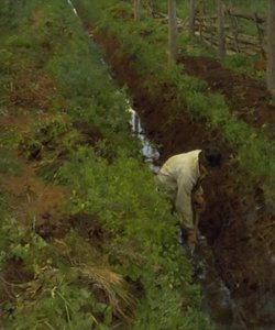 Dredging a Ditch by Erik Theodor Werenskiold