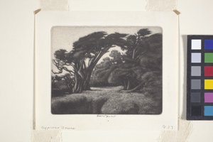 Cypress Bower
