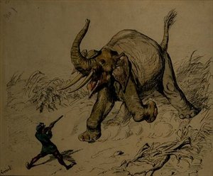Elephant Shoot by Ernest Henry Griset
