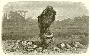The Crow and the Pitcher