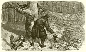 The Fowler and the Blackbird