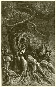 The Fox and the Boar