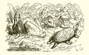 The Hare and the Tortoise