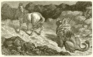The Horse and the Lion
