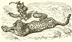 The Leopard and the Fox by Ernest Henry Griset