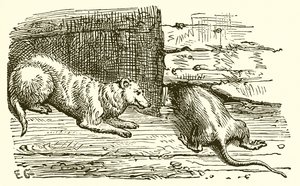 The Mouse and the Weasel