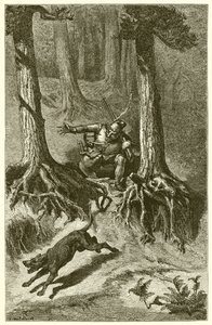 The Old Hound