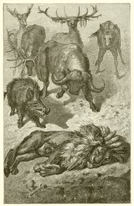 The Old Lion by Ernest Henry Griset