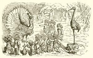 The Peacock and the Crane