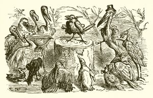 The Peacock and the Magpie