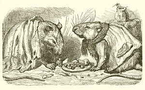 The Town Mouse and the Country