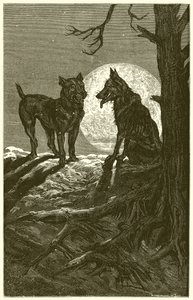 The Wolf and the Mastiff