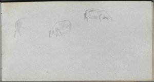 Sketchbook, page 20: Animal Study