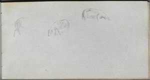 Sketchbook, Page 20: Animal Study