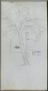 Tree Study (Sketchbook, page 36)