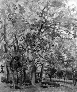 Through the Trees