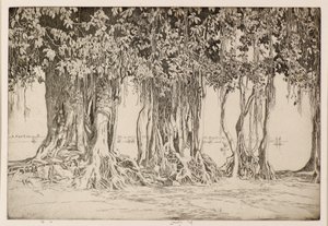 The Banyan Tree