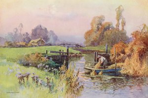 River Thames: Backwater to the Wey