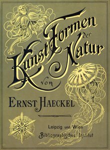 Front cover of 