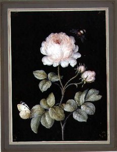 Rose with Bumble Bee and Butterfly by Ernst Friedrich Carl Lang
