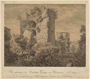 The Exploded Tower and the Library of Heidelberg Castle